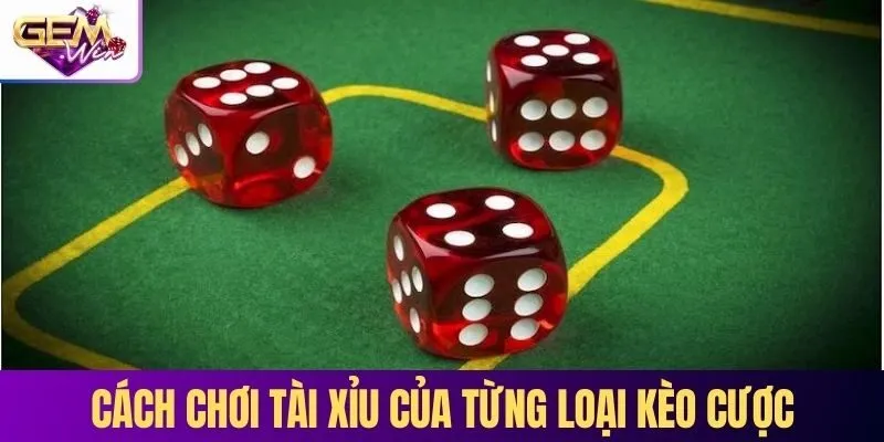 Cách chơi tài xỉu của từng loại kèo cược 