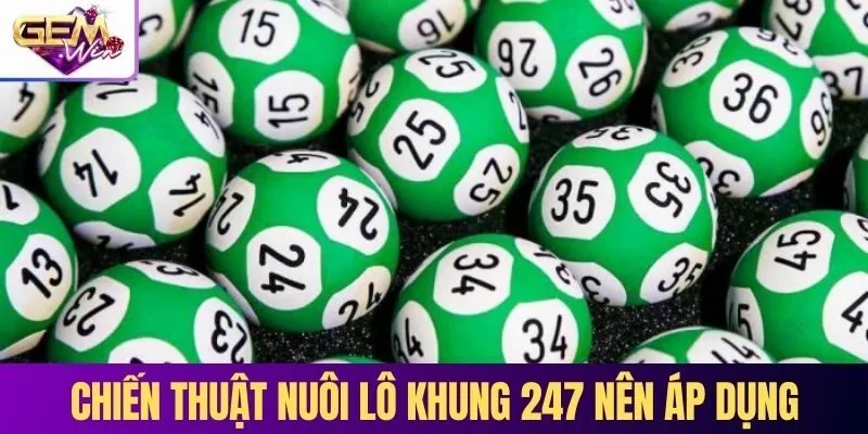 Các chiến thuật nuôi lô khung 247 mà bạn nên áp dụng 