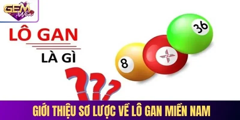 Giới thiệu sơ lược về lô gan miền Nam