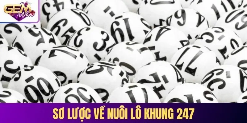 Sơ lược về nuôi lô khung 247 