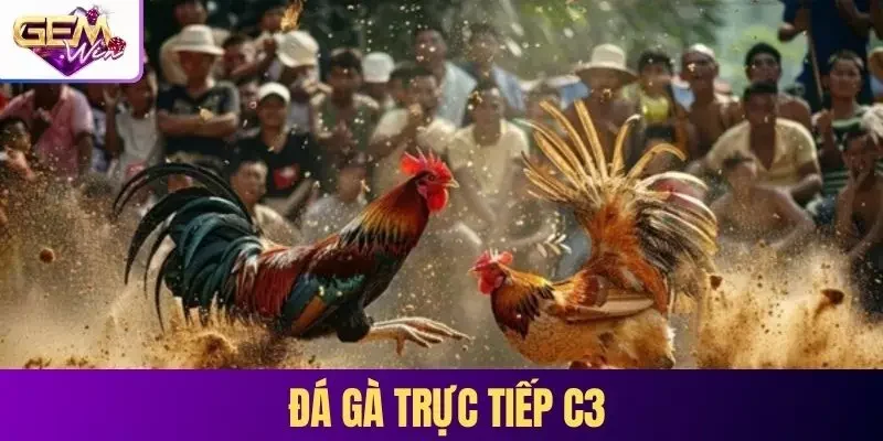 đá gà trực tiếp c3