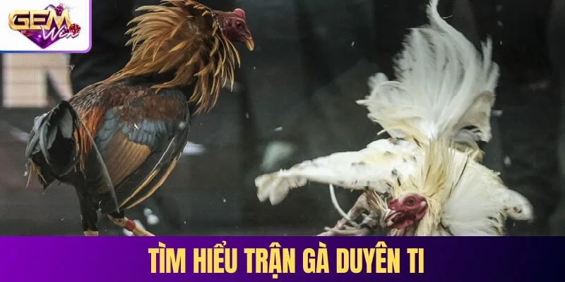 Tìm hiểu trận gà Duyên Ti 