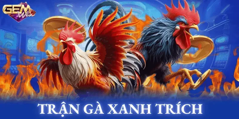 trận gà xanh trích